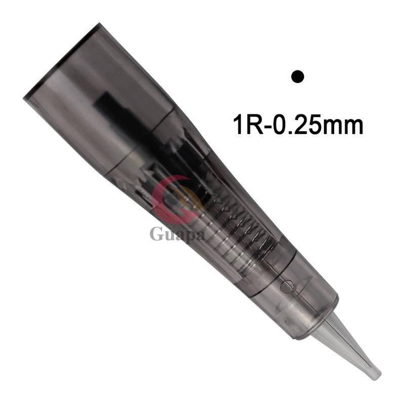 10PCS 0.25mm 1R