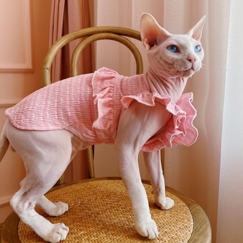 Trajes de gatos Ropa de esfinge Vestido de verano para Sphynx Moda Linda