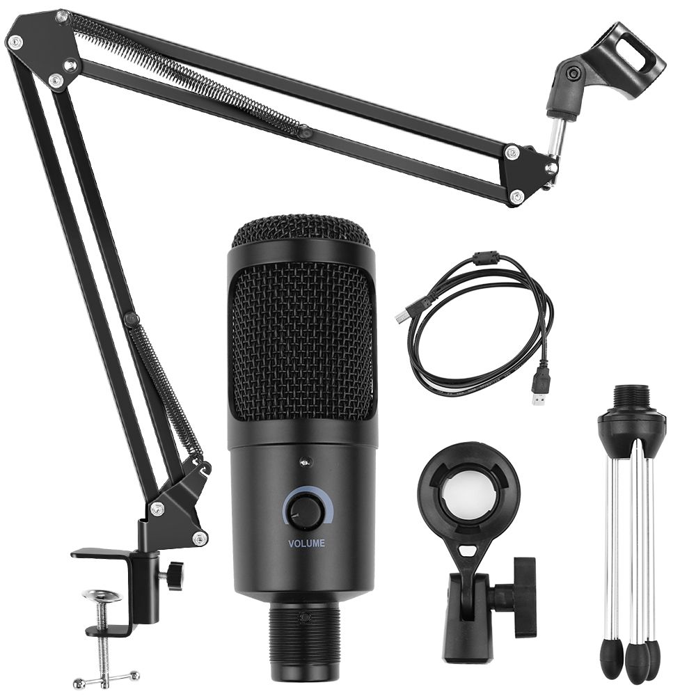 Mic With Stand 1