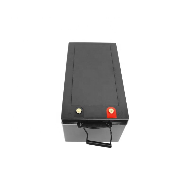 Compra Batería De Iones De Litio BMS De LIFEPO4 BMS Incorporada 12V