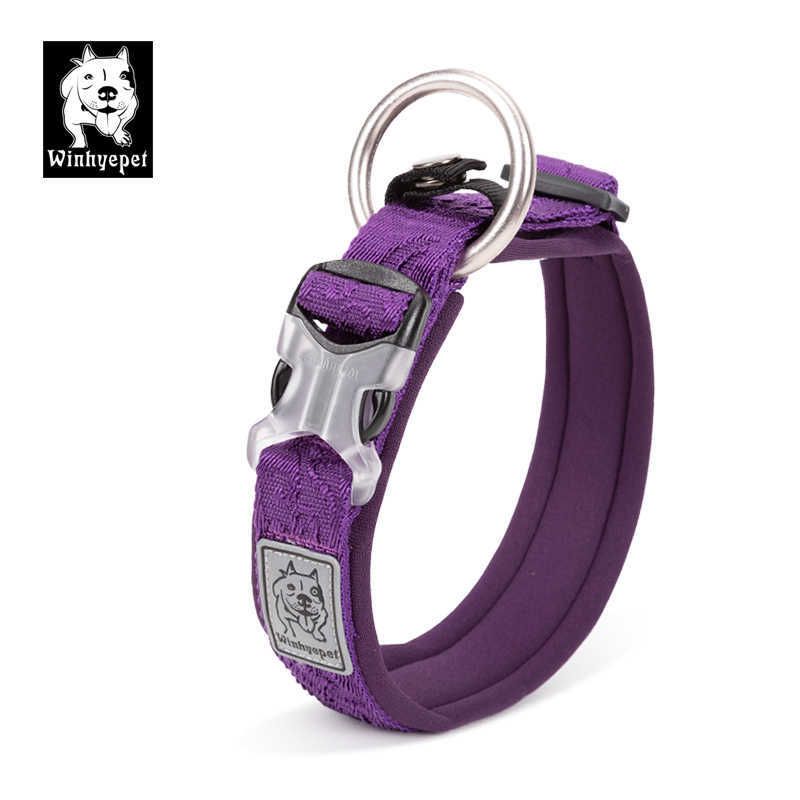 collier de chien violet