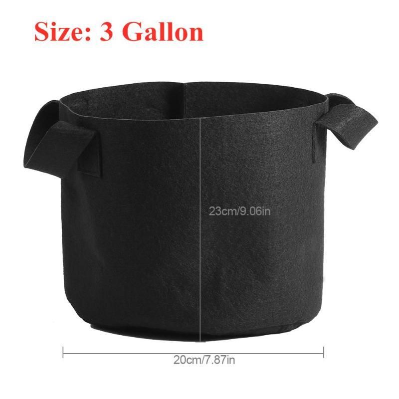 3 Gallon