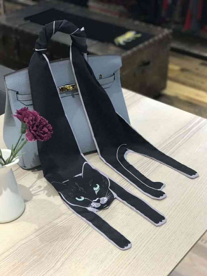 Große schwarze katze.