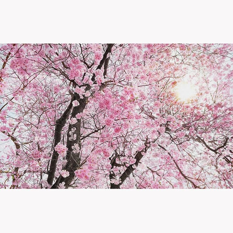 Fondos de pantalla rosa árbol árbol po wallpaper pegatinas sala de estar chicas dormitorio Papel de Fondos de pantalla rosa árbol árbol po wallpaper pegatinas sala de estar chicas dormitorio Papel de