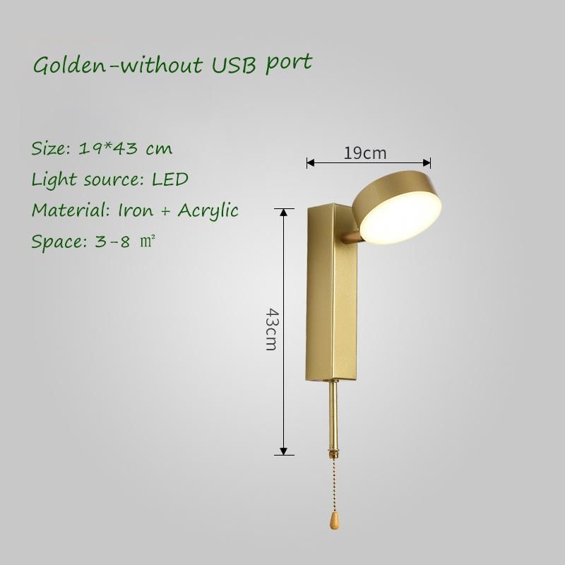 or gold-pas de port USB