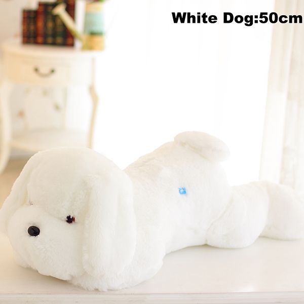 50 cm vit hund