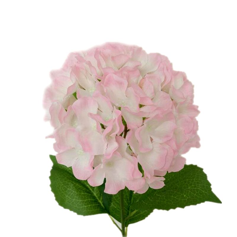 Hortensia de color rosa