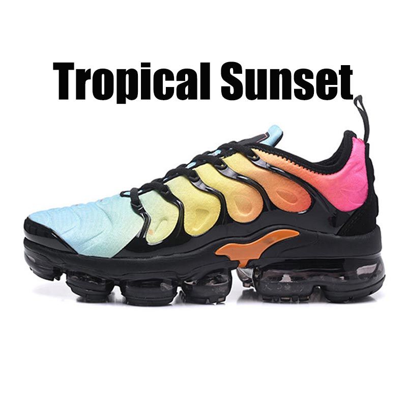 36-47 Tropical Sunset