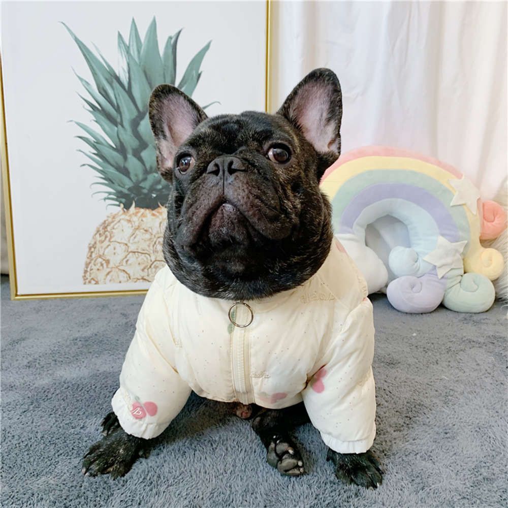 frenchie ups costume
