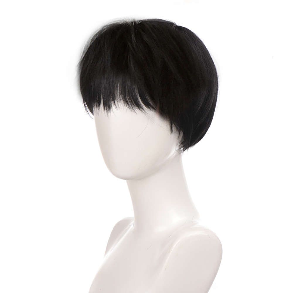 Lupu Black Blond Short Synthetic Hair Plums Pretty Boy Cosplay Pruik Natural Fake False Hair High Lupu Black Blond Short Synthetic Hair Plums Pretty Boy Cosplay Pruik Natural Fake False Hair High