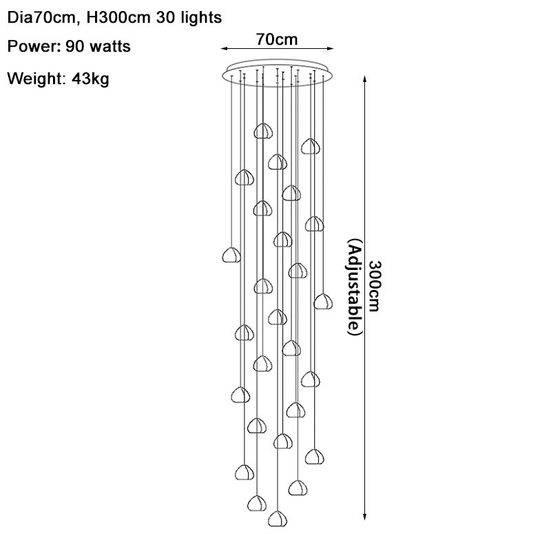 DI70 H300 30Ball