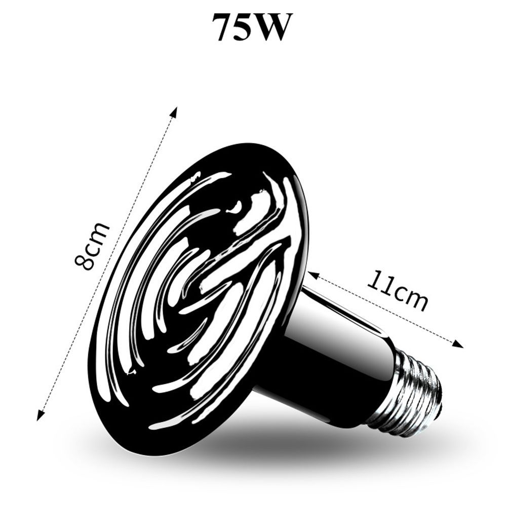 75W (비고 110V 또는 220V)