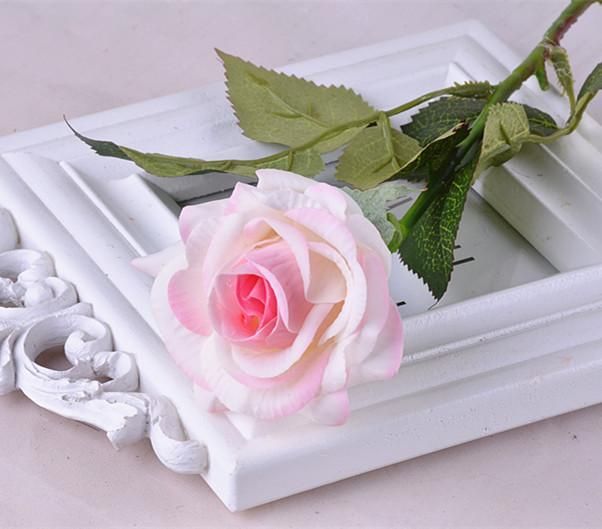 coeur rose blanc