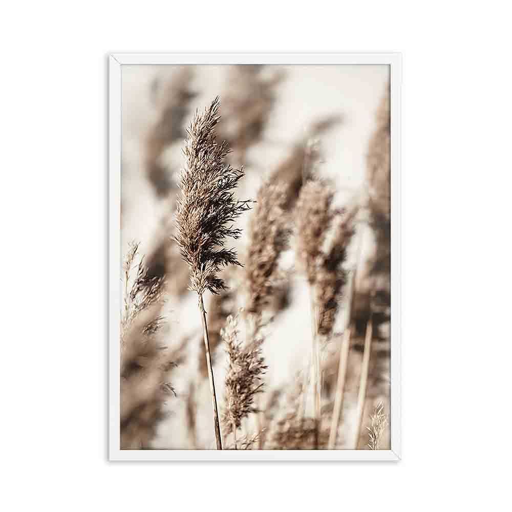 6-40x60cm geen frame