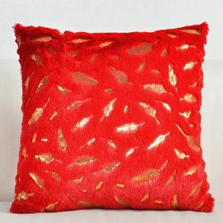 Coussin1