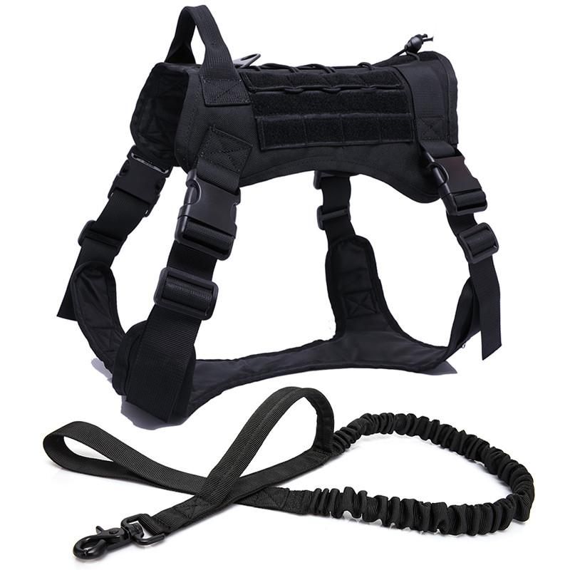 Schwarze Harness Leine