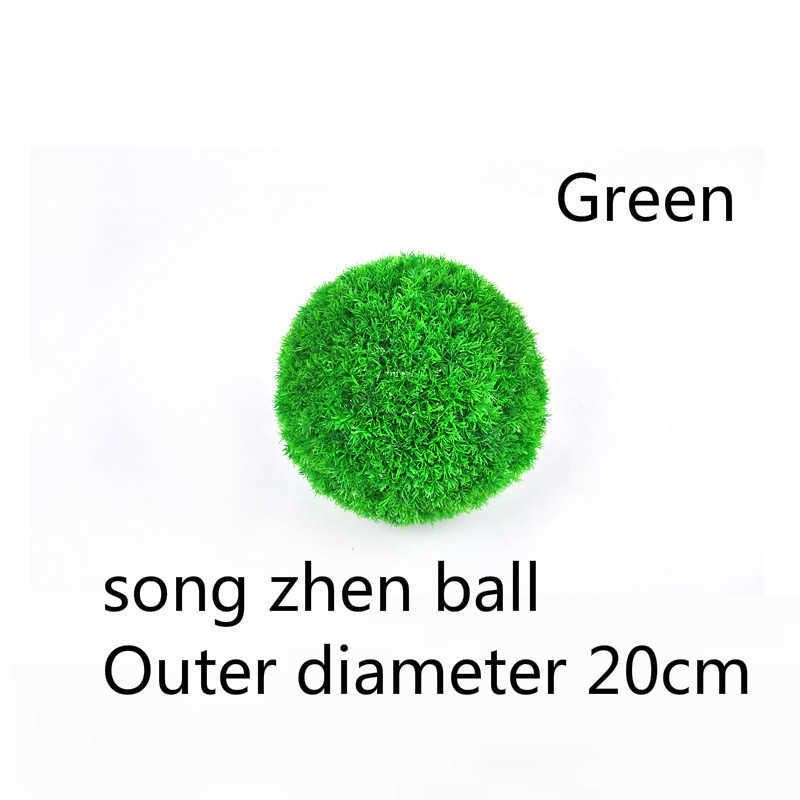 20cm Song