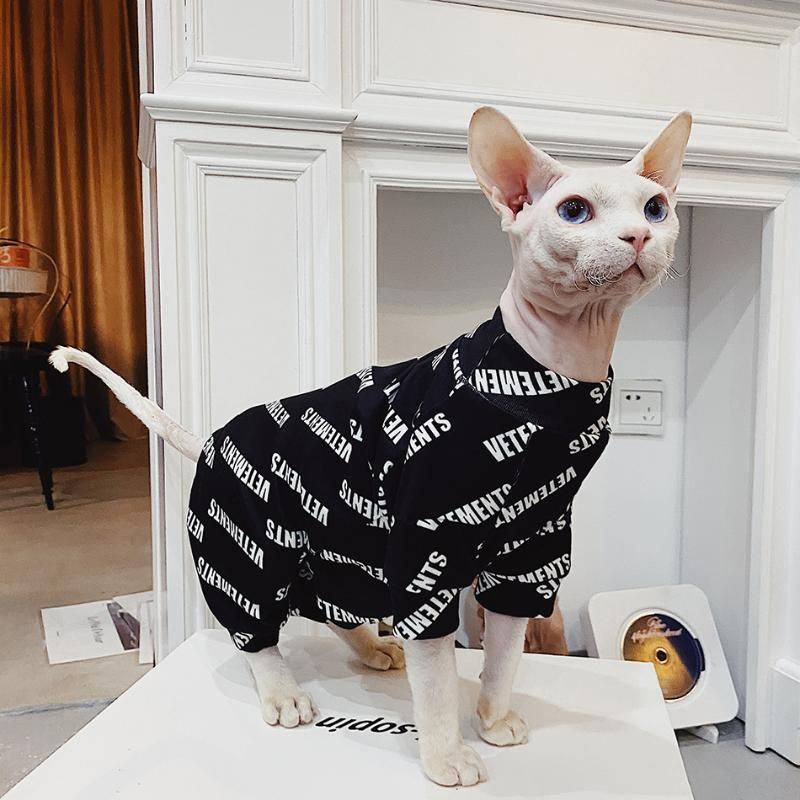 Disfraces gato Sphinx Ropa Carta Estiramiento para gatos Sphynx Gatito Diseño de moda
