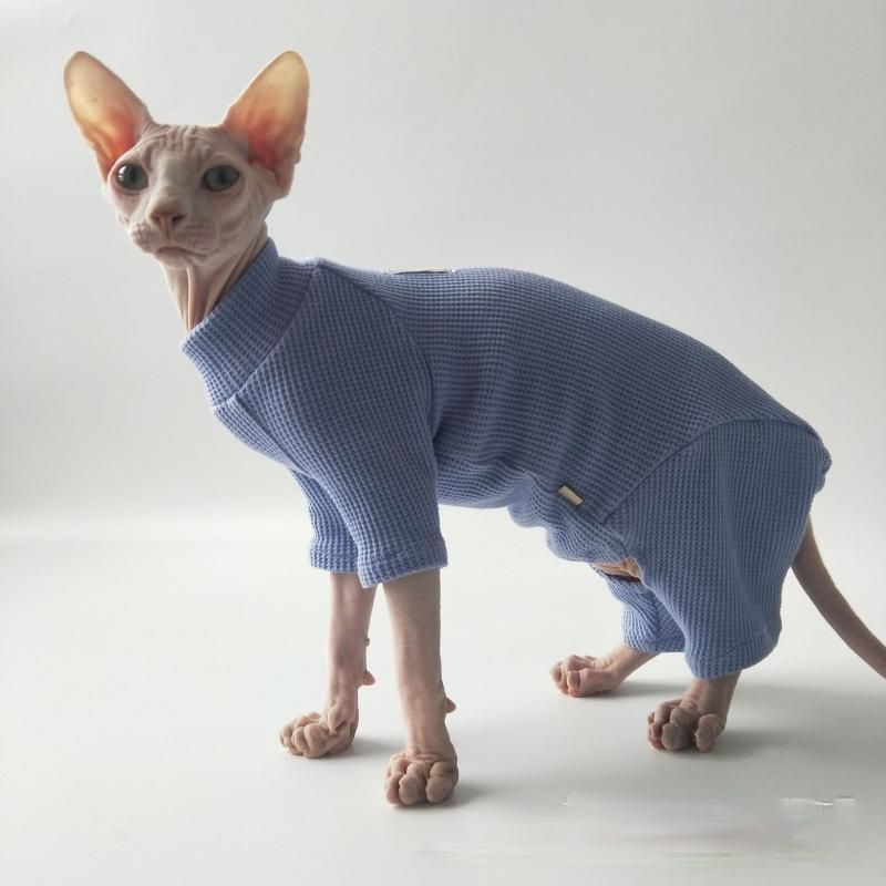 devon rex clothes