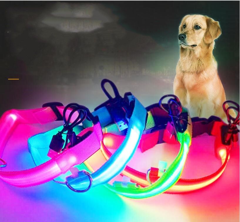 Petsafe collar light clearance flashing