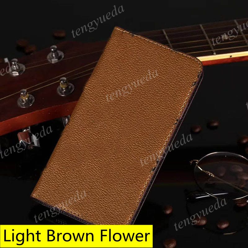 Brown L2-Light