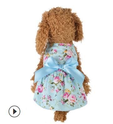 # 1 cão vestidos de tutu