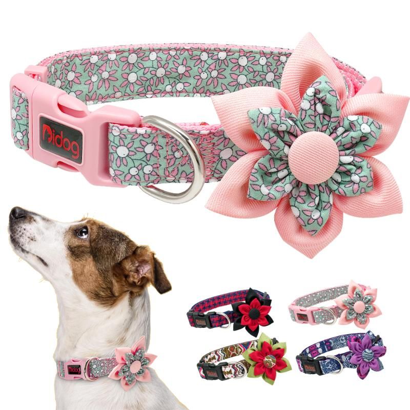 cute dog accessories