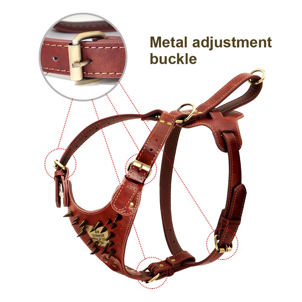 Metal Harness - personalized