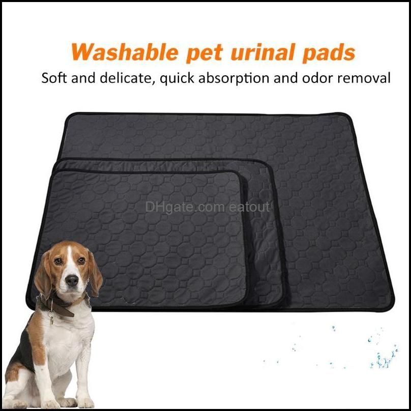 beagle training pens