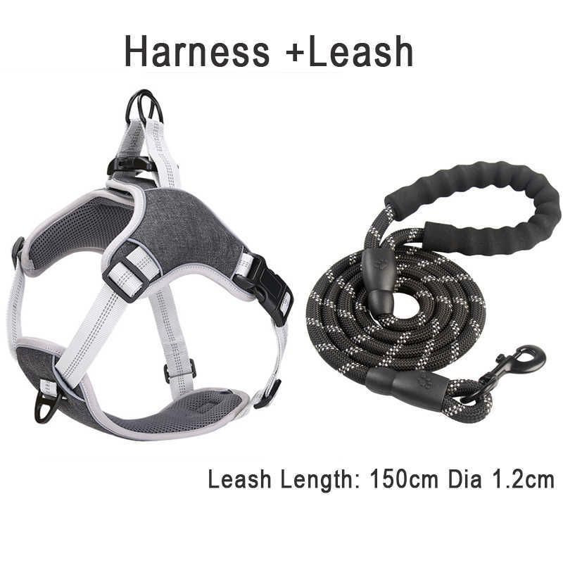 Black Harness Leash