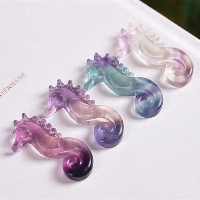 Hippocampus 1pcs