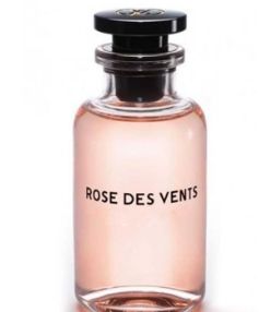 Rose des Ventus