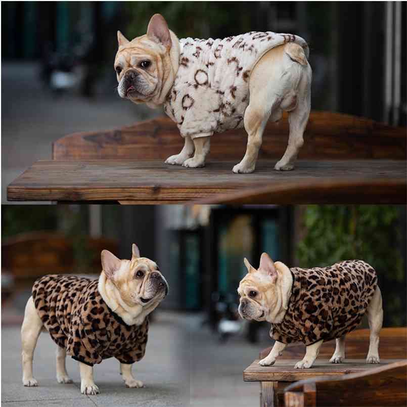 luxury dog clothes