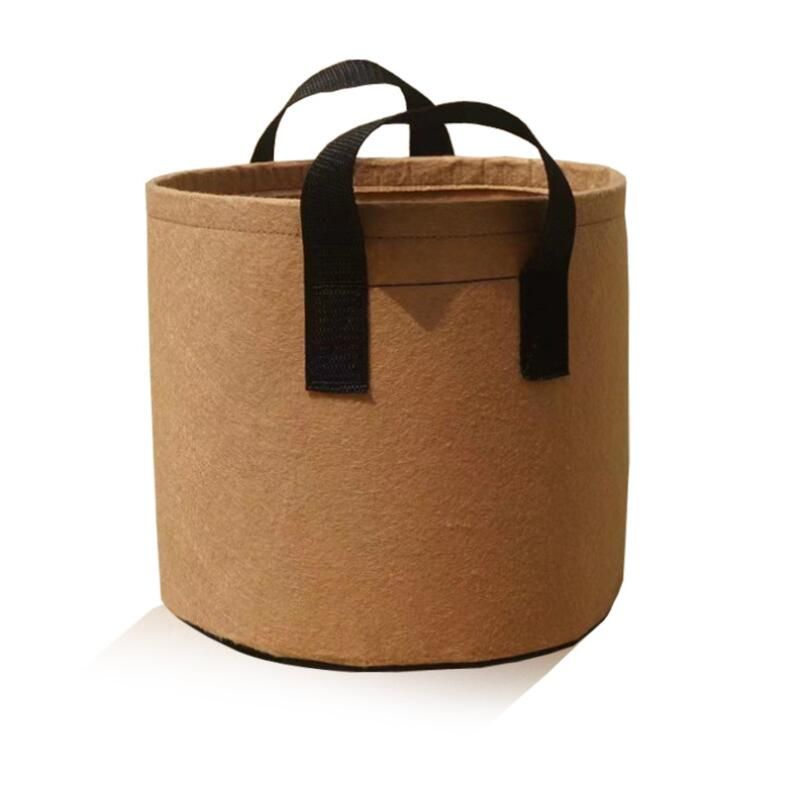 2 Gallon Brown Taille: 20 * 20cm