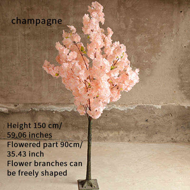 Champagne 150 Cm