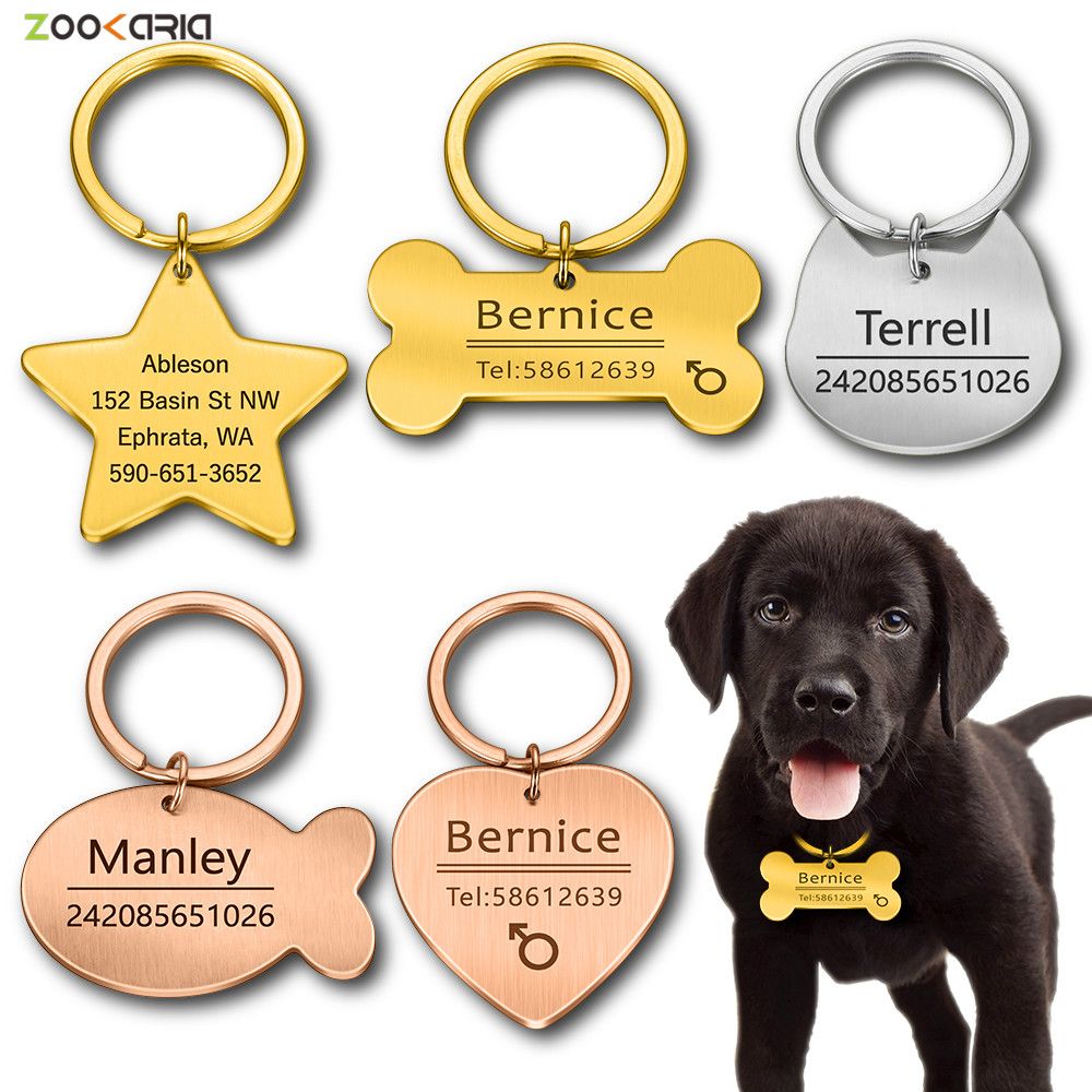 Collares personalizados para perros PET ID TAG Llavero Llavero Grabado Nombre para Cat Perros Cuello Colgante Llavero Hueso Accesorios