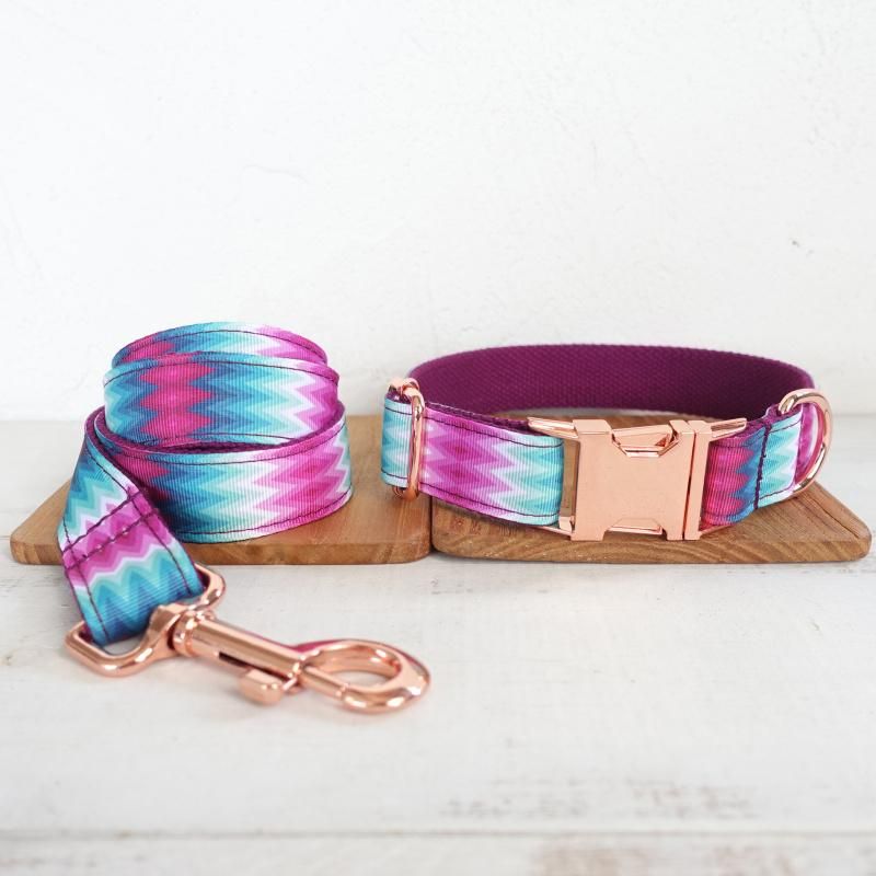 Dog Collar Leash Set