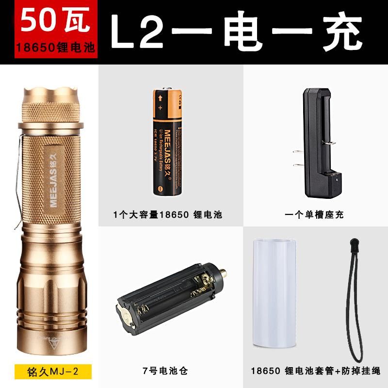 Gold 50w 18650 Lithium Battery