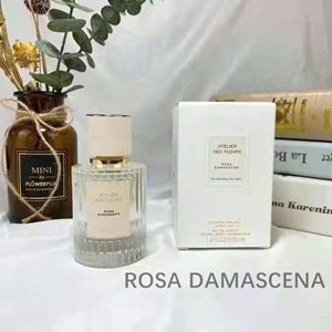 Rosa Damascena.