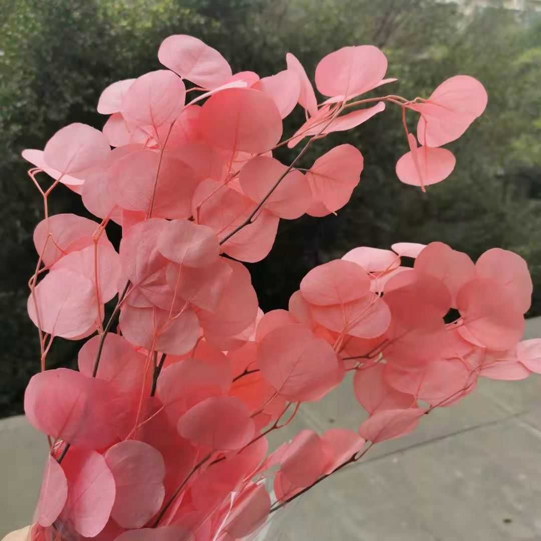 분홍색