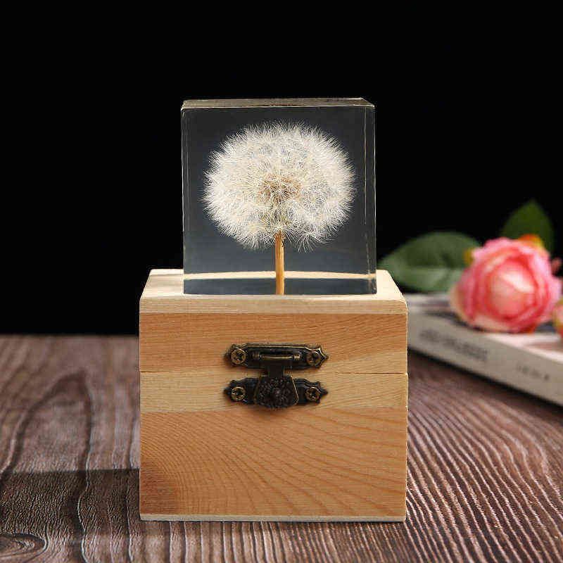 Dandelion with Box