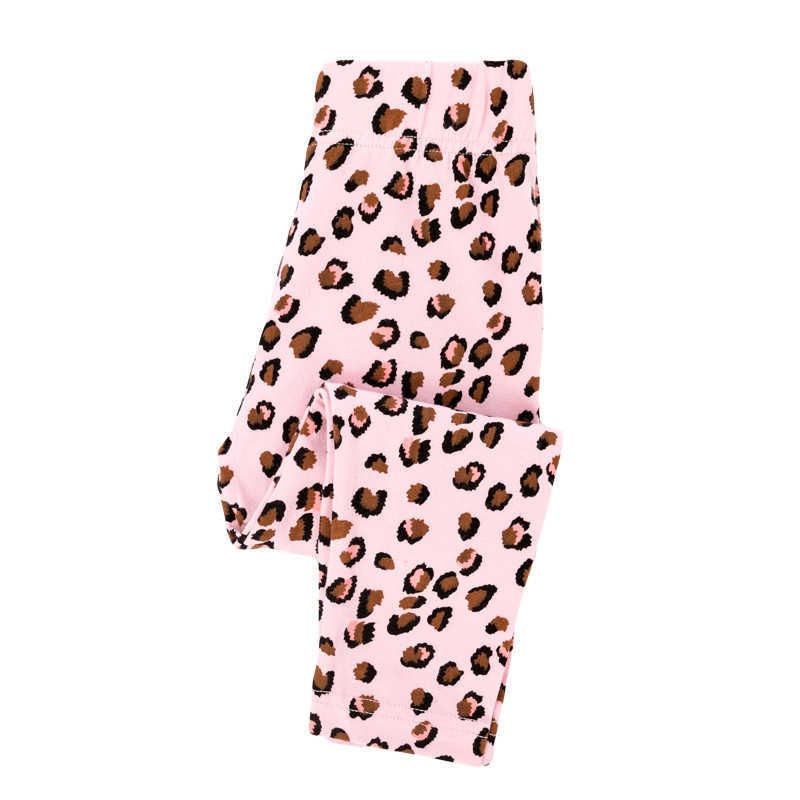 T11156 Leopard