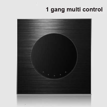 1 gang multi control