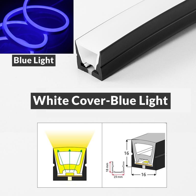 Witte coverxblue