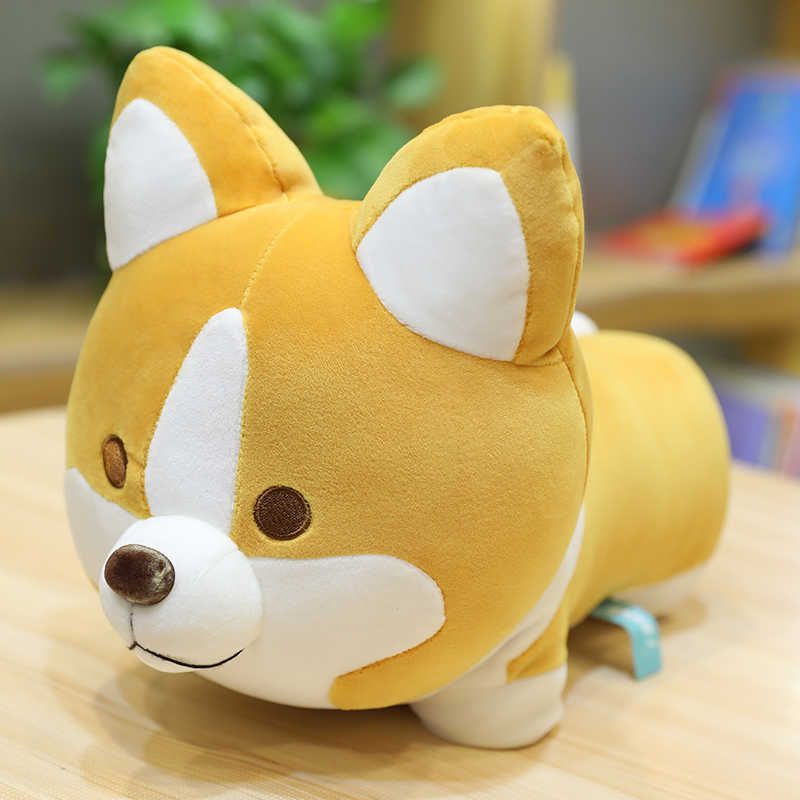 Yellow Corgi