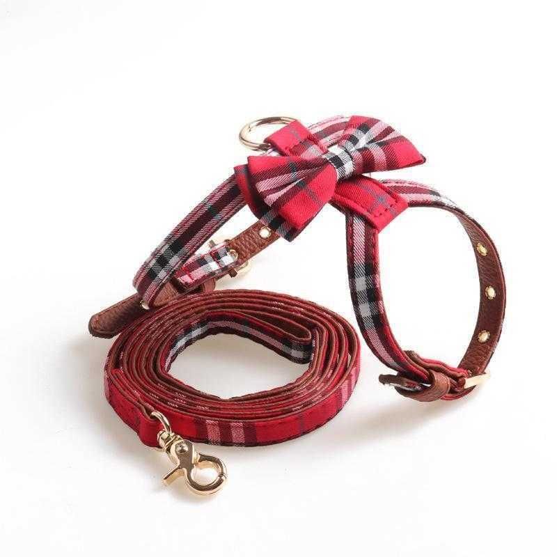 Collier rouge et ensemble de laisse