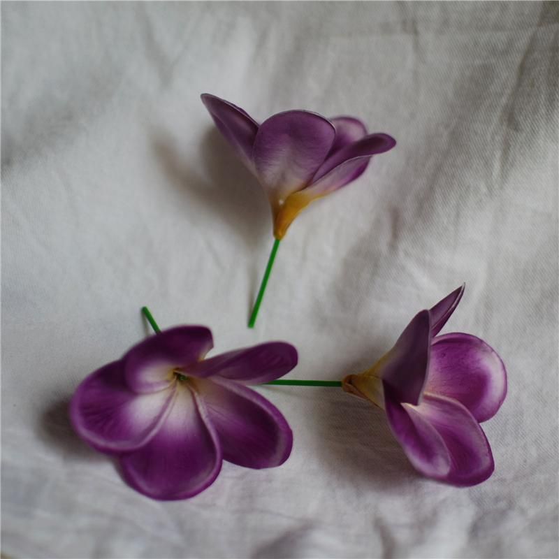 eggplant with stem