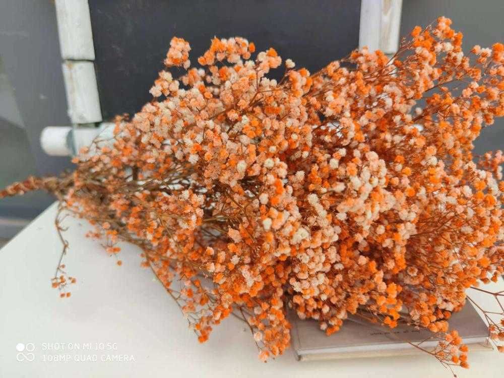 Orange-15-35 cm (20g)