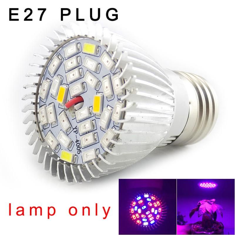 E27 bulb only US