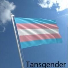 Transqender-Flagge